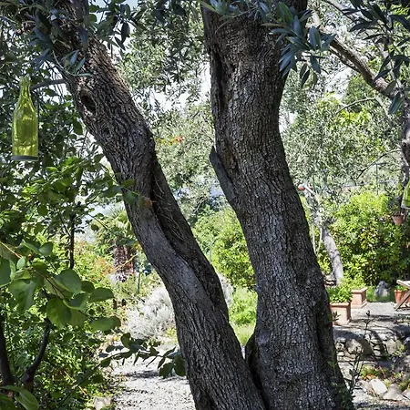 Stunning Views Of Portofino And By Wonderful Italy Apartment *